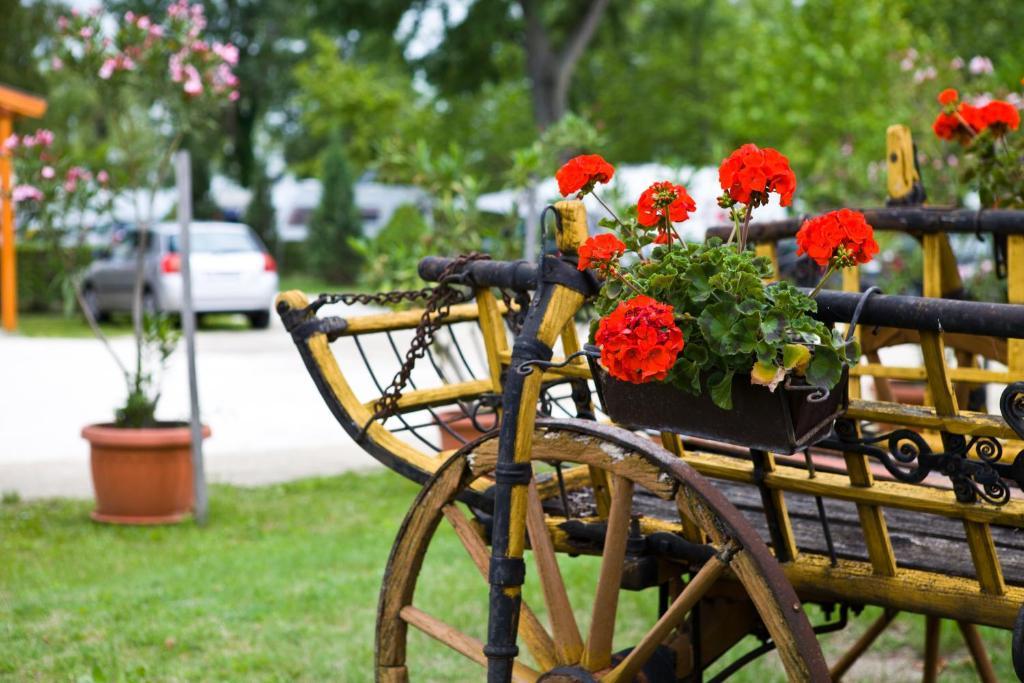 فندق Badacsonytördemicفي  Balaton Eldorado Camping المظهر الخارجي الصورة