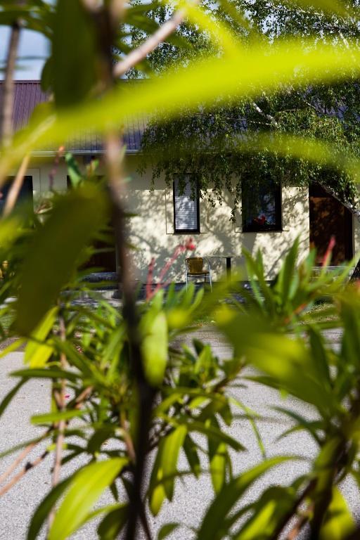 فندق Badacsonytördemicفي  Balaton Eldorado Camping المظهر الخارجي الصورة